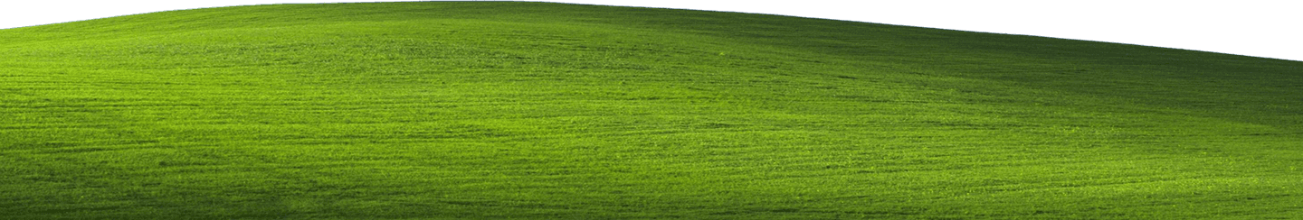 Windows XP grass footer